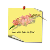 Blumomat und die Blumensprache - Gladiole