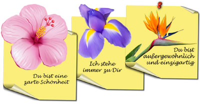 Blumomat und die Blumensprache und Symbolik
