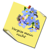 Blumomat und die Blumensprache - Vergissmeinnicht